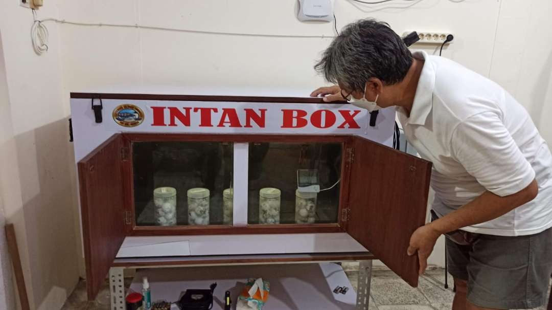 Wiwit menunjukkan intan box yang ada di BSTF beberapa waktu lalu (Foto: Muh Hujaini/Ngopibareng.id)