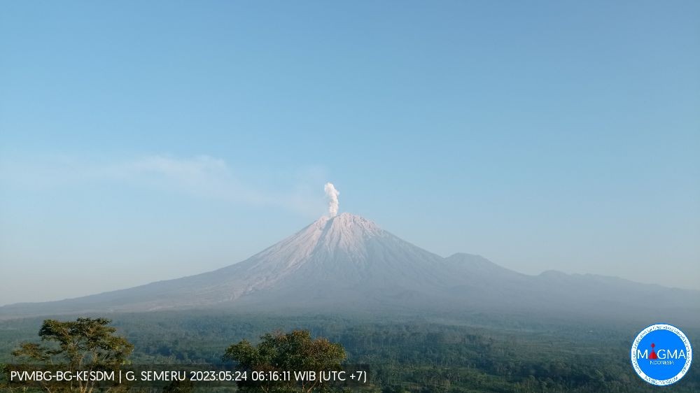 Terlihat asap putih dan kelabu dari puncak gunung api Semeru. Gunung api dengan tinggi 3676 meter di atas permukaan laut (mdpl) ini terlihat jelas. (Foto: magma.esdm)