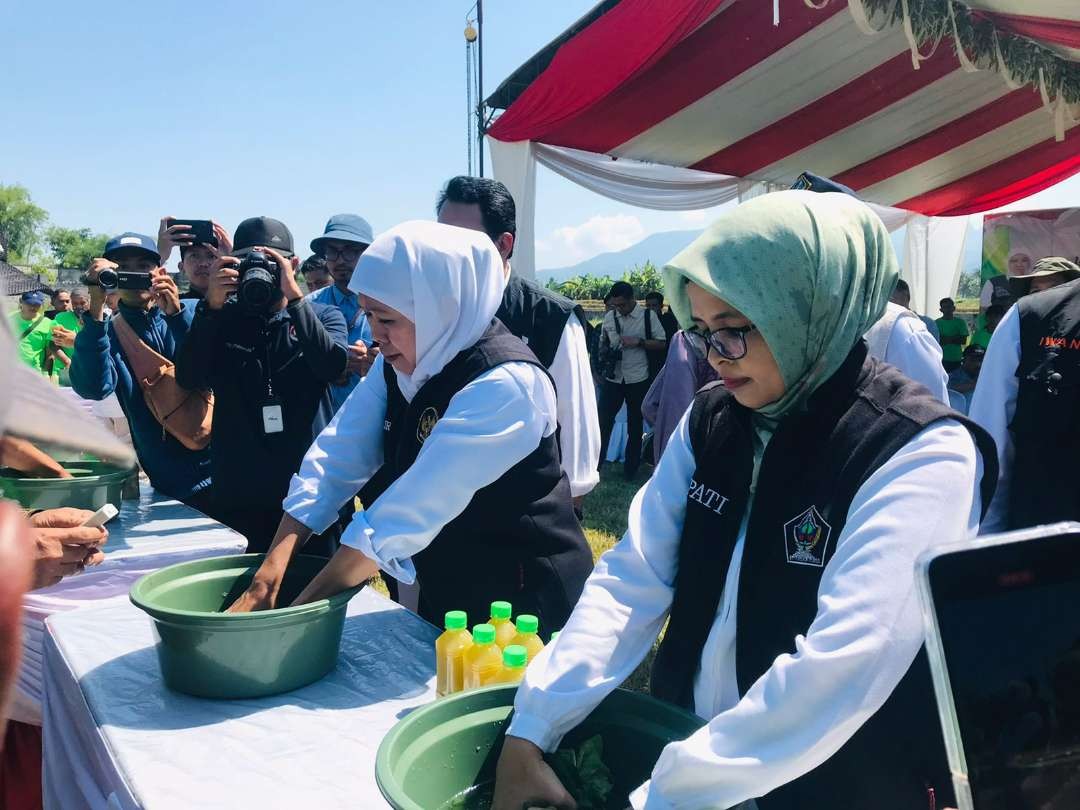Gubernur Jawa Timur Khofifah Indar Parawansa saat mencoba membuat pupuk organik biosaka pada kunjungannya di Kabupaten Blitar. (Foto: Choirul Anam/Ngopibareng.id)