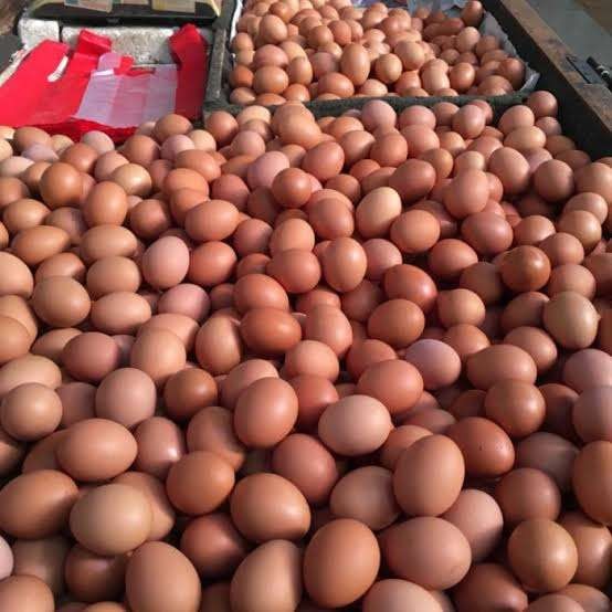 Harga telur sedikit turun dikisaran Rp 28.000-28.500 per kilogram. (Foto: Istimewa)