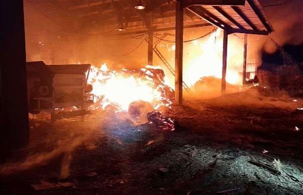Gudang pabrik triplek milik BUMN di Bondowoso ludes terbakar, Kamis 1 Juni 2023 dini hari. (Foto: Damkar Bondowoso)