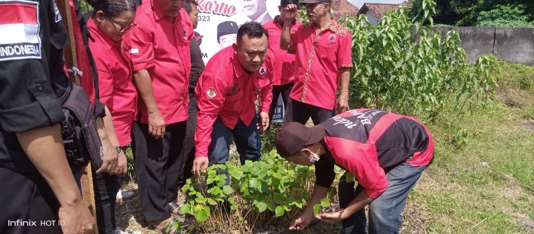 BMI-Repdem Kota Kediri menanam 15.000 pohon balsa di bulan Juni, identik Bung Karno. (Foto: Istimewa)