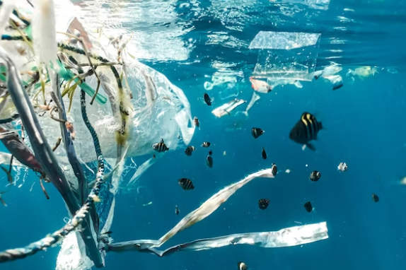 Menteri Lingkungan Hidup dan Kehutanan Siti Nurbaya Bakar menarget Indonesia berhenti menggunakan plastik sekali pakai per 2029. (Ilustrasi: Unsplash)