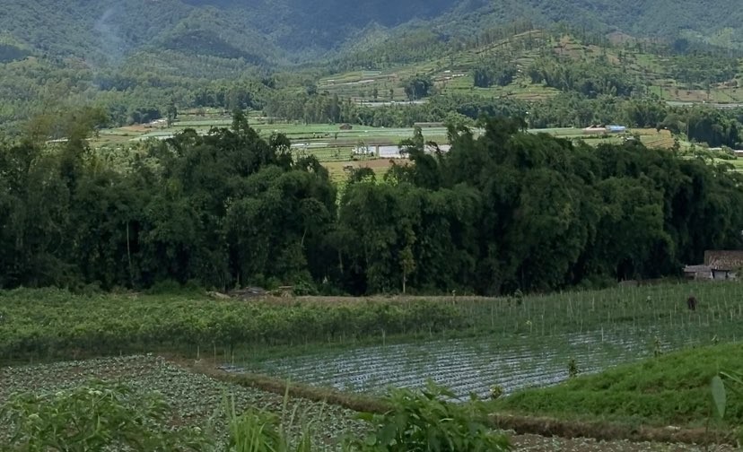 Lahan pertanian di Kecamatan Pujon, Kabupaten Malang (Foto: Lalu Theo/Ngopibareng.id)