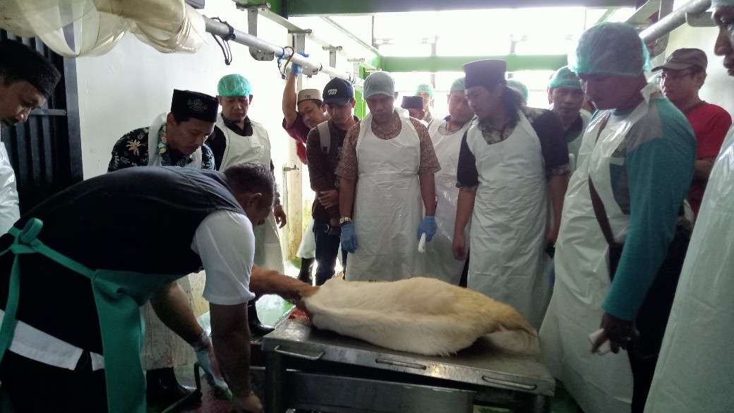 Puluhan peserta pelatihan juru sembelih halal melihat proses penyembelihan kambing di RPH Tuban (Foto: Khoirul Huda/Ngopibareng.id)