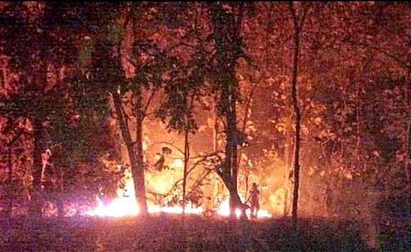 Api saat membakar hutan jati kawasan Taman Nasional Baluran di tepi Jalur Pantura Situbondo, Minggu 11 Juni 2023 malam. (Foto: BPBD Situbondo)
