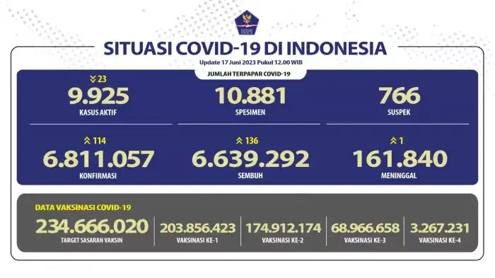 Kasus baru COVID-19 di Indonesia sebanyak 114 jiwa, Sabtu 17 Juni 2023. (Foto: covid19.go.id)