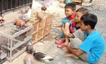 Anak anak Jakarta pinggiran mengisi liburan dengan bermain burung marpati undukkan (Foto; Asmanu Sudharso/Ngopibareng.id)
