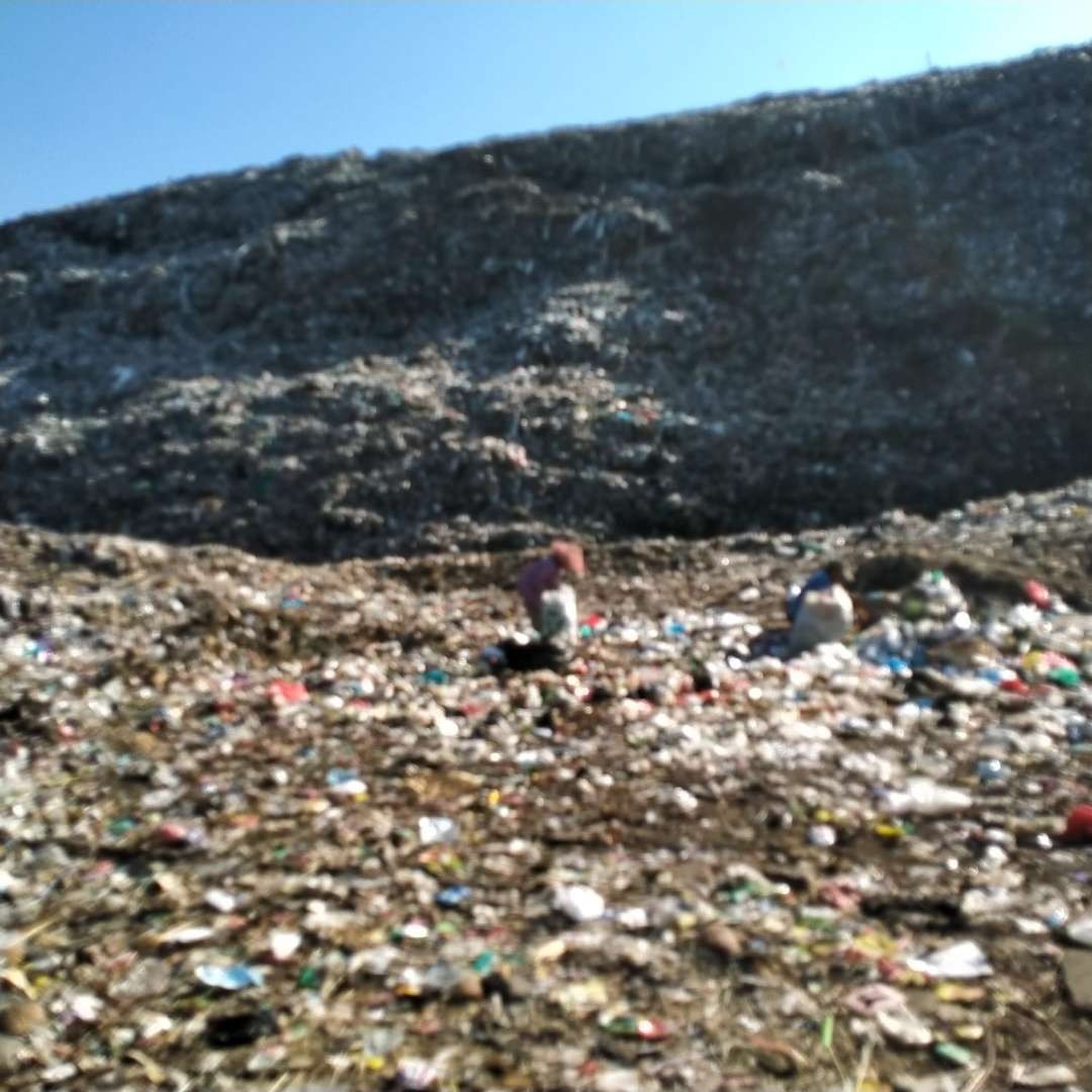 Gunung sampah di Tempat Pembuangan Akhir (TPA) di Jalan Anggrek Kota Probolinggo. (Foto: Ikhsan Mahmudi/Ngopibareng.id)