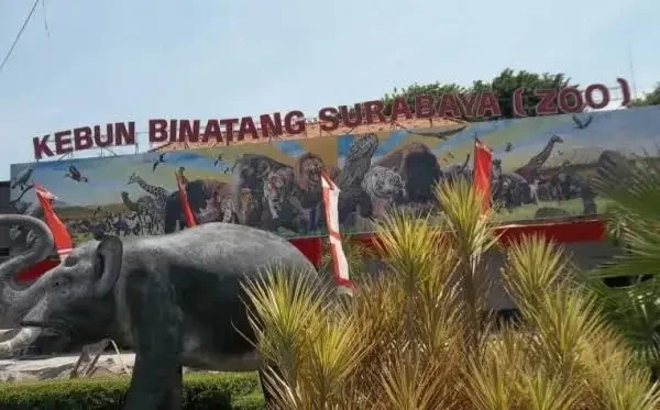Kebun binatang Surabaya. (Foto: Dok. Ngopibareng.id)