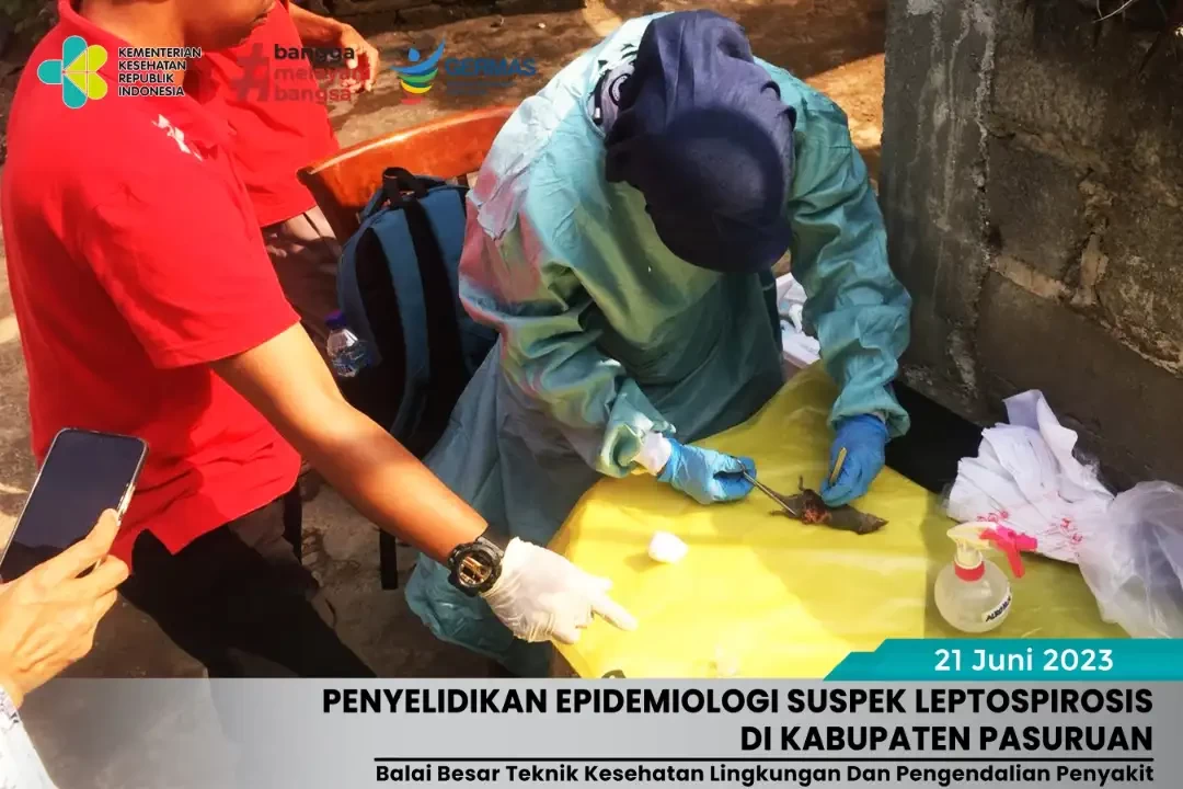 Penelitian untuk kasus leptospirosis di Kabupaten Pasuruan. (Foto: dok. btklsby)