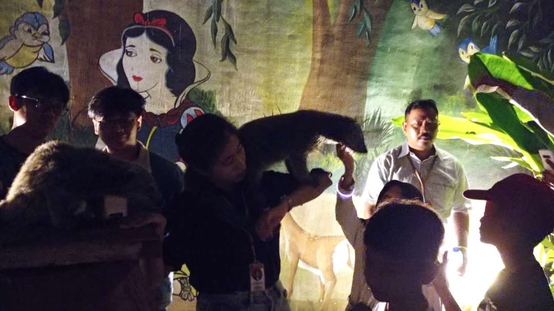 Suasana Surabaya Night Zoo saat dibuka pertama kali untuk umum pada Minggu, 25 Juni 2023. (Foto: Pita Sari/Ngopibareng.id)