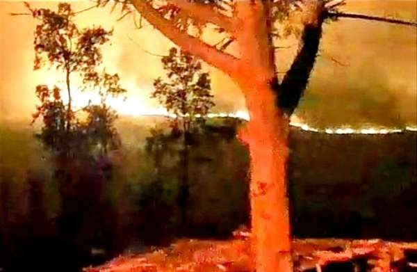 Hutan lindung Ijen di Bondowoso seluas sekitar lima hektar terbakar, Senin 26 Juni 2023 malam. (Foto: Humas Perhutani Bondowoso)