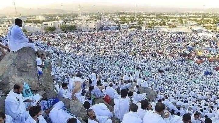 Umat Islam sedang menjalankan ibadah haji sedang Wukuf di Arafah. (Foto: dok/ngopibareng.id)