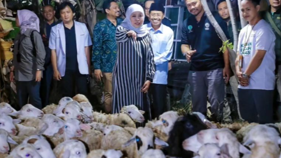Gubernur Jawa Timur Khofifah Indar Parawansa saat memeriksa hewan kurban di Masjid Raya Islamic Center, Surabaya, Rabu 28 Juni 2023. (Foto: Instagram @KhofifahIP