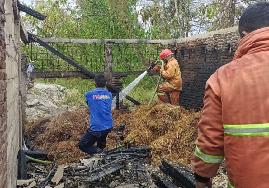 Petugas Damkar Ngimbang dan Baureno memadamkan api di lokasi kebakaran. (Foto: Istimewa)