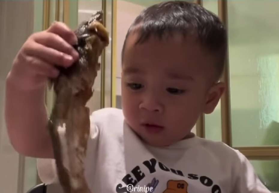 Rayyanza Malik Ahmad, anak kedua Raffi Ahmad dan Nagita Slavina (Gigi), lahap makan ikan lele goreng. (Foto: Instagram @riniperdiyanti)