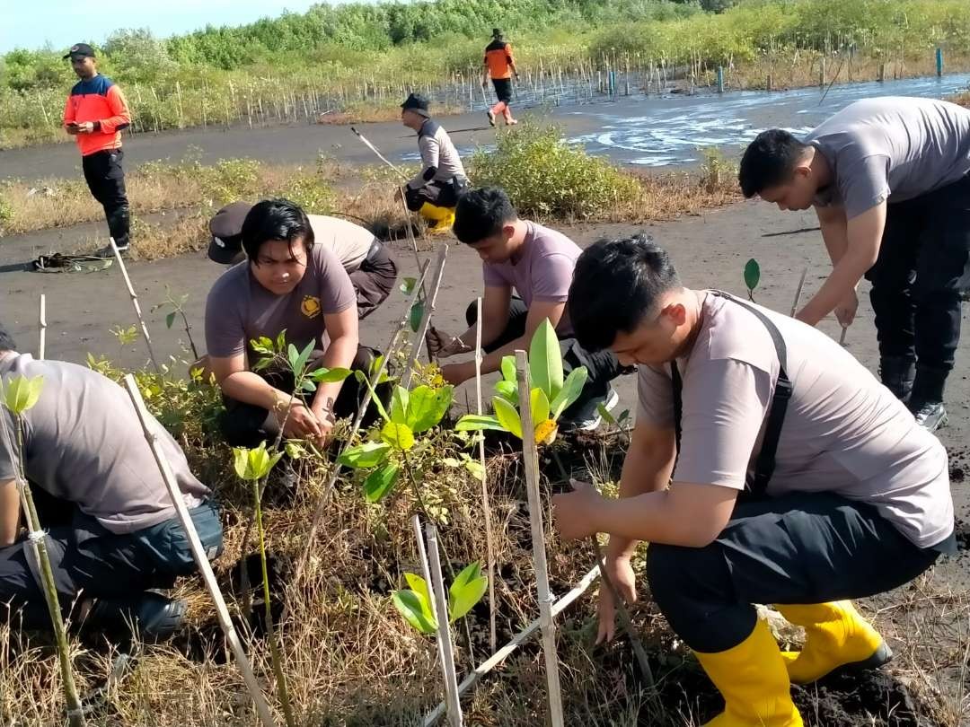Jajaran Polres Probolinggo Kota, TNI, Pemkot Probolinggo, dan masyarakat menanam 1.000 batang mangrove di Pantai Permata. (Foto: Ikhsan Mahmudi/Ngopibareng.id)