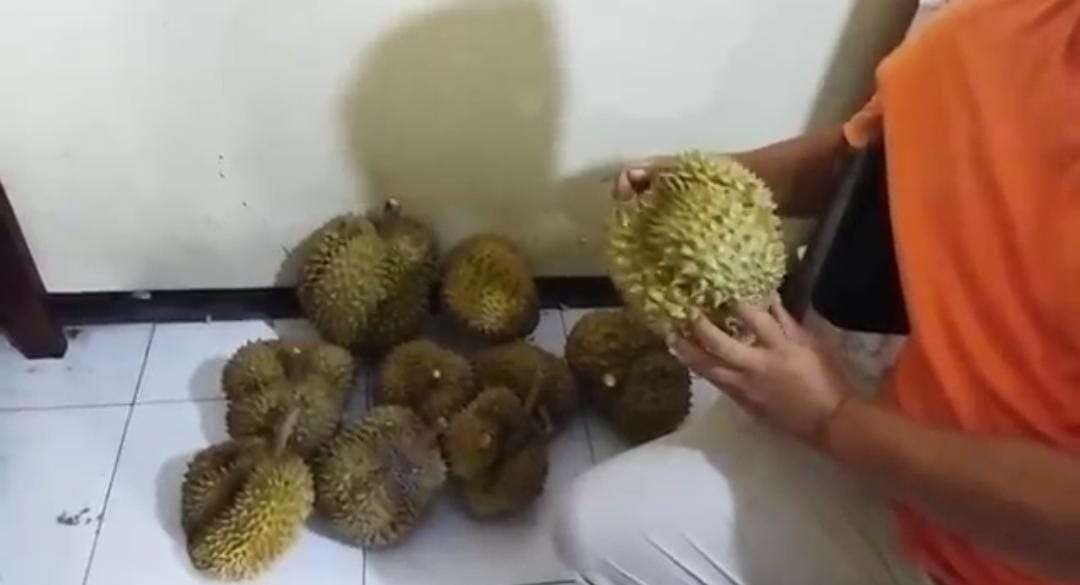Beberapa buah durian yang dijadikan barang bukti oleh pihak kepolisian (foto:istimewa)