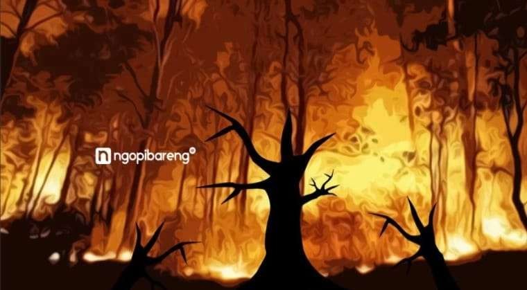 Kebakaran hutan terjadi di wilayah perbatasan tiga kabupaten di Jawa Timur, yakni Banyuwangi, Situbondo dan Bondowoso. (Ilustrasi: ngopibareng.id
