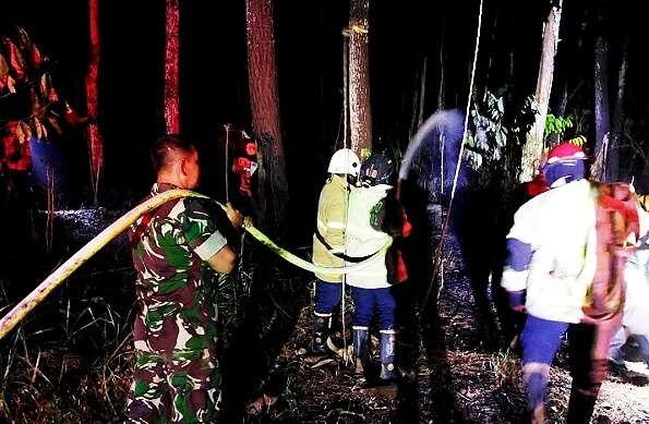 Petugas Damkar Bondowoso dibantu TNI, Polri, dan BPBD kerja keras memadamkan api membakar hutan pinus di Desa Curahpoh, Kecamatan Curahdami, Rabu 19 Juli 2023 malam. (Foto: Satpol PP Damkar Bondowoso)