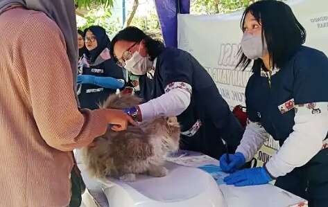 Ratusan hewan peliharaan masyarakat Situbondo menjadi sasaran vaksinasi rabies gratis digelar Disnakkan Situbondo.(Foto: Disnakkan Situbondo)