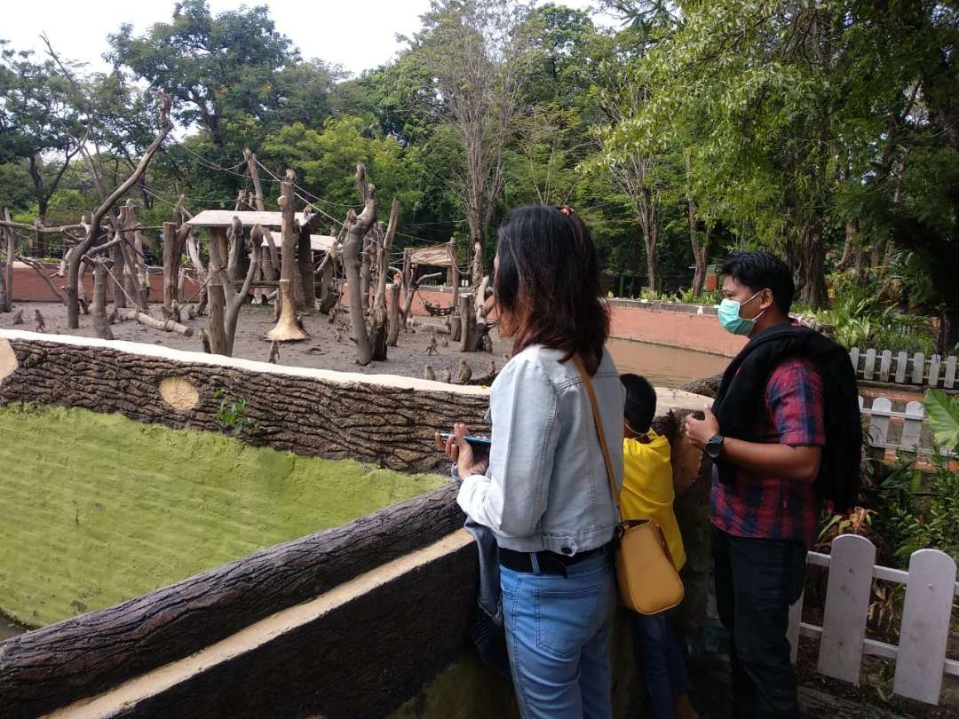 Pengunjung saat melihat satwa di Kebun Binatang Surabaya (KBS) (Foto: dok/Ngopibareng.id)