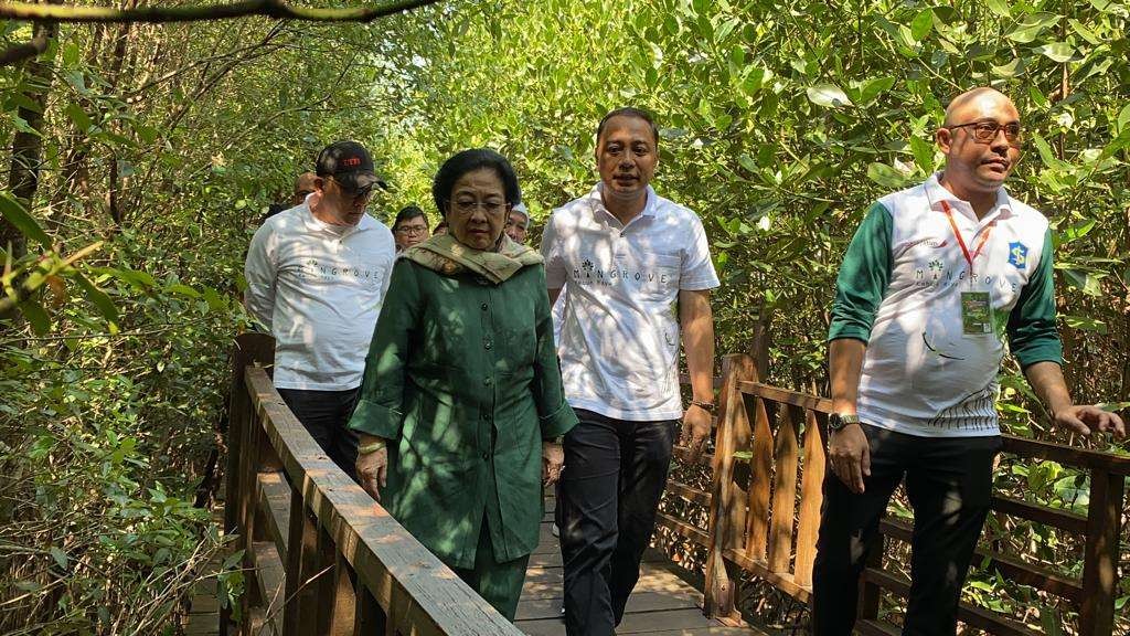 Ketua Dewan Pengawas BRIN, Megawati Soekarnoputri saat didampingi Eri Cahyadi berkeliling Kebun Raya Mangrove. (Foto: Pita Sari/Ngopibareng.id)
