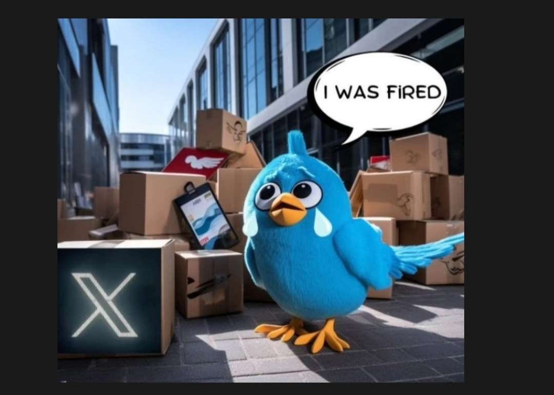 Meme si burung biru dipecat dari Twitter, ganti logo X. (Foto: Twitter)