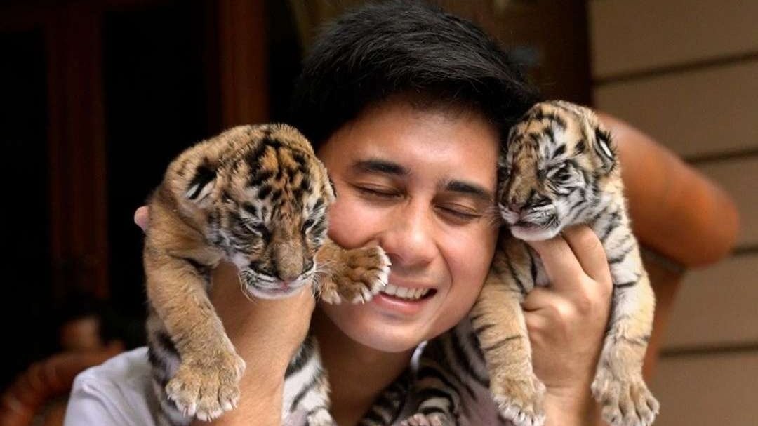 Alshad Ahmad bersama bayi harimau peliharaannya. (Foto: Instagram)
