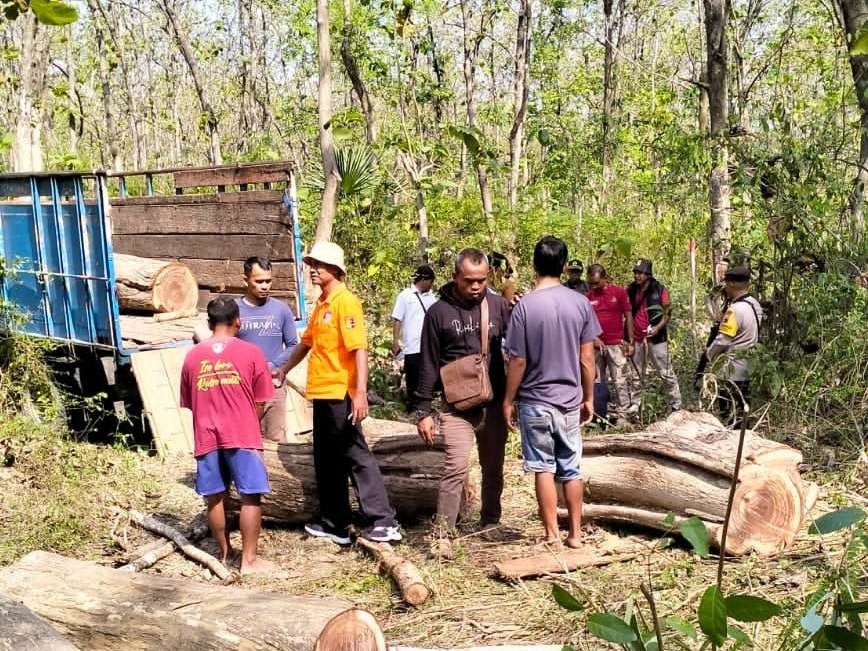 Olah TKP pencurian kayu di KPH Cepu. (Foto: Ahmad Saampurno/Ngopibareng.id)