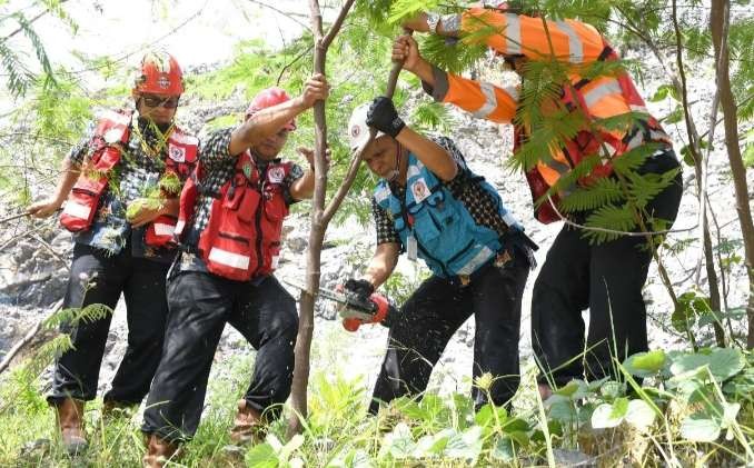 Direktur Utama PT Semen Padang, Asri Mukhtar (ketiga kiri) melakukan panen perdana pohon kaliandra merah di lahan reklamasi bekas tambang batu kapur PT Semen Padang. (Foto: SIG)