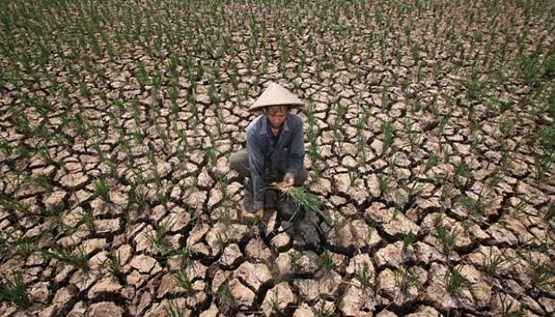 Badan Meteorologi, Klimatologi, dan Geofisika (BMKG) Juanda Surabaya, Jawa Timur, memprediksi daerah utara Jatim bakal mengalami kekeringan ekstrem. (Foto: Ant)