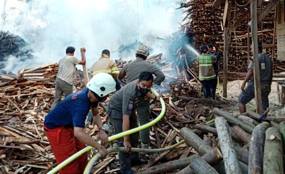 Anggota Damkar Bondowoso kerja keras lebih lima jam memadamkan api membakar tempat usaha penggergajian kayu sengon di Kecamatan Wringin.(Foto:Guido/Ngopibareng.id)