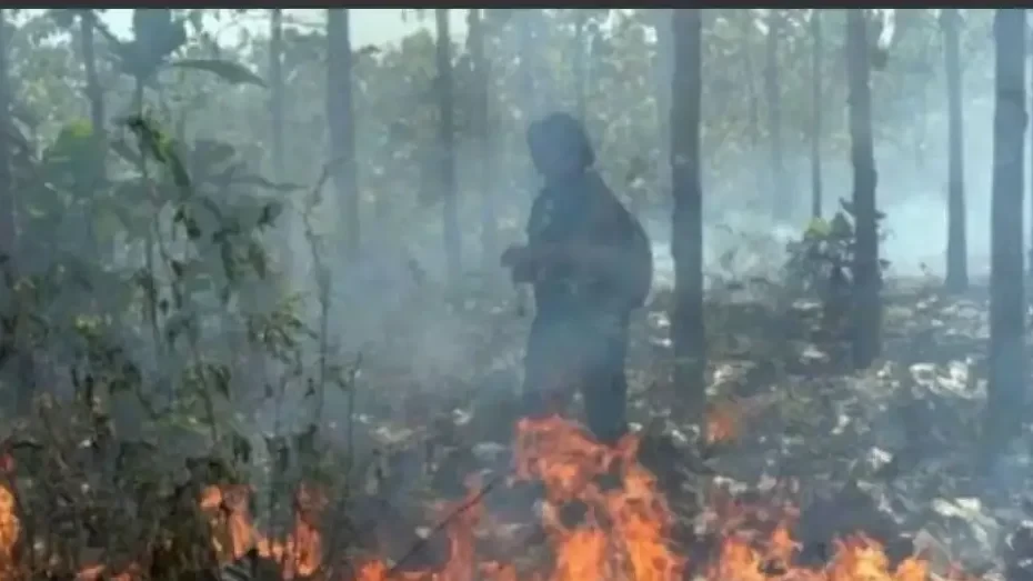 BPBD Kabupaten Ponorogo imbau warganya untuk meningkatkan kewaspadaan terhadap potensi kebakaran hutan dan lahan (karhutla) selama kemarau. (Foto: Ant)