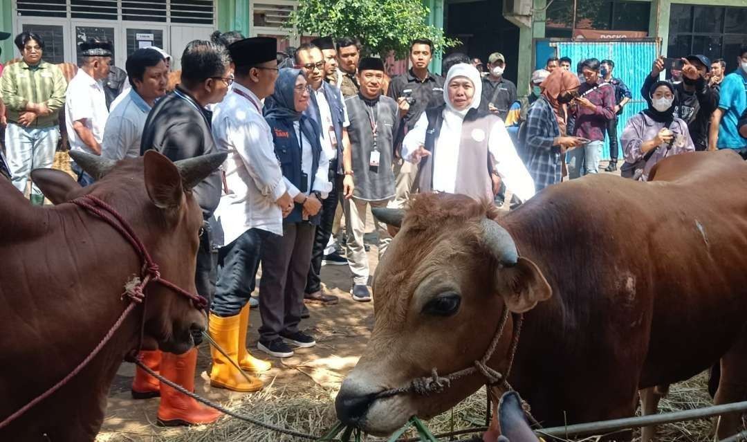 Gubernur Jatim, Khofifah Indar Parawansa meninjau RPH Pegirian, Surabaya, Sabtu 24 Juni 2023. (Foto: Fariz Yarbo/Ngopibareng.id)
