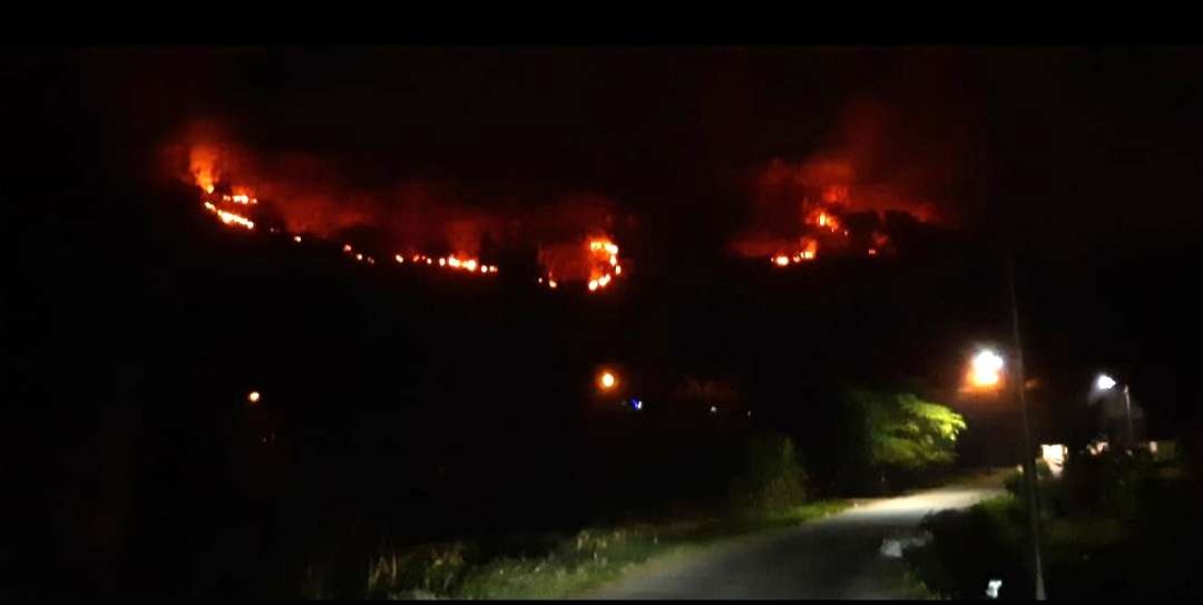 Hutan jati di Mojokerto terbakar.(Foto istimewa)