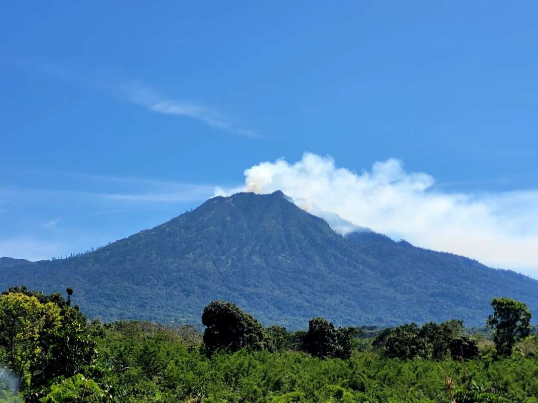 Asap membumbung dari titik api yang berada di kawasan Gunung Merapi Ungup-ungup. (Foto: Istimewa)