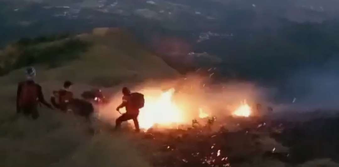 Gunung Bekel Mojokerto terbakar. (Foto: Istimewa)