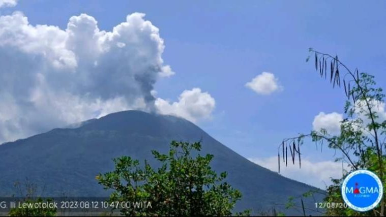 Gunung Ili Lewotolok erupsi, Sabtu 12 Agustus 2023. (Foto: Twitter/X Magma)