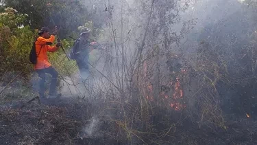 Kebakaran hutan dan lahan di Blok Jati Sawit, Mojokerto, Jawa Timur. (Foto: Istimewa)