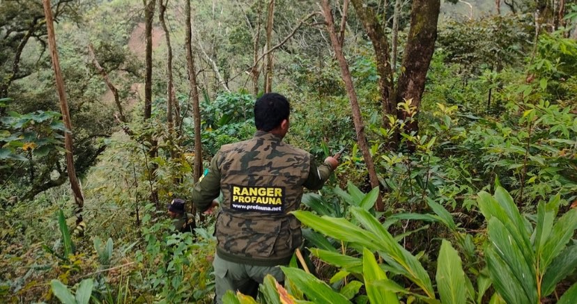 Tim Profauna saat melakukan patroli perburuan liar satwa (Foto: Profauna Indonesia)
