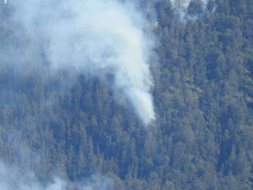 Kebakaran hutan dan lahan di Gunung Semeru. (Foto: Balai Besar Taman Nasional Bromo Tengger Semeru)