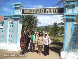Konservasi Penyu Taman Kili-kili Desa Wonocoyo, Kecamatan Panggul, Kabupaten Trenggalek. (Foto: dok. trenggalekkab.go.id)