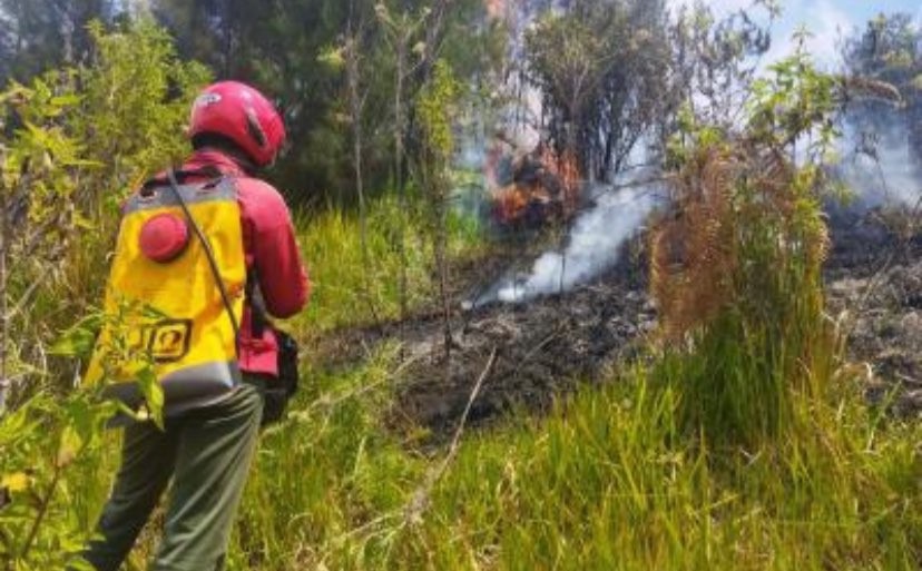 Kebakaran hutan dan lahan di Gunung Semeru. (Foto: BB TNBTS)