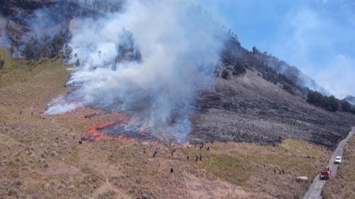 Kebakaran di kawasan Taman Nasional Bromo Tengger Semeru (Foto: BB TNBTS)