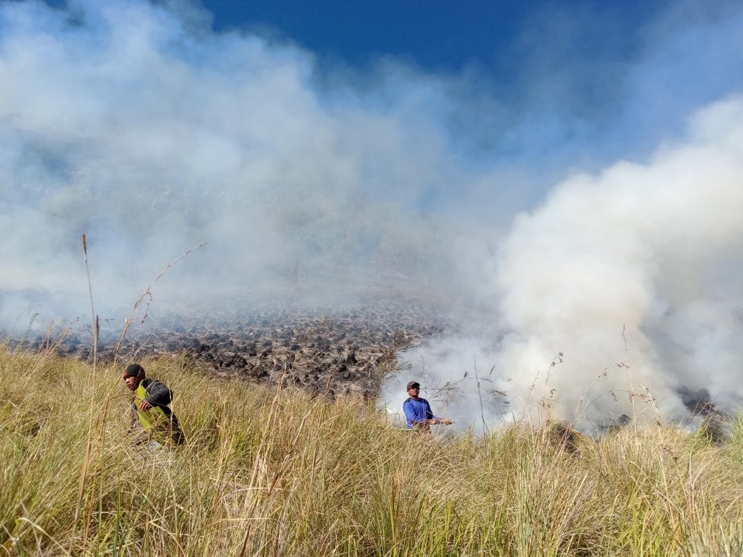 Petugas gabungan saat melakukan oemadaman titik api karhutla di Taman Nasional Bromo Tengger Semeru (Foto: BB TNBTS)