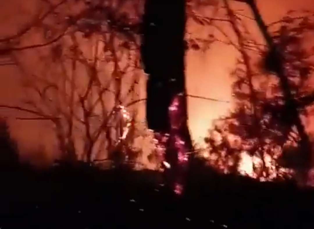 Kebakaran hutan dan lereng Gunung Sumbing kebakaran, Jumat 1 September 2023 siang. Api padam Sabtu siang. (Foto: Twitter)