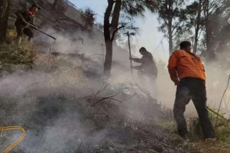 Petugas dari TNBTS, BPBD, dan warga memadamkan api yang membakar kawasan padang savana. (Foto: BPBD Kabupaten Probolinggo)