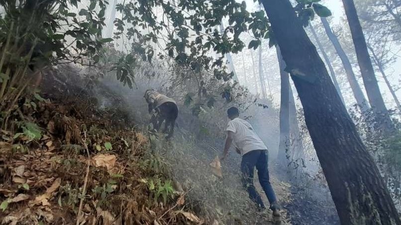 Petugas gabungan berhasil memadamkan kebakaran hutan dan lahan (karhutla) di wilayah Watu Gede, Desa Ngadas, Kecamatan Poncokusumo, Kabupaten Malang. (Foto: Dok Malang)